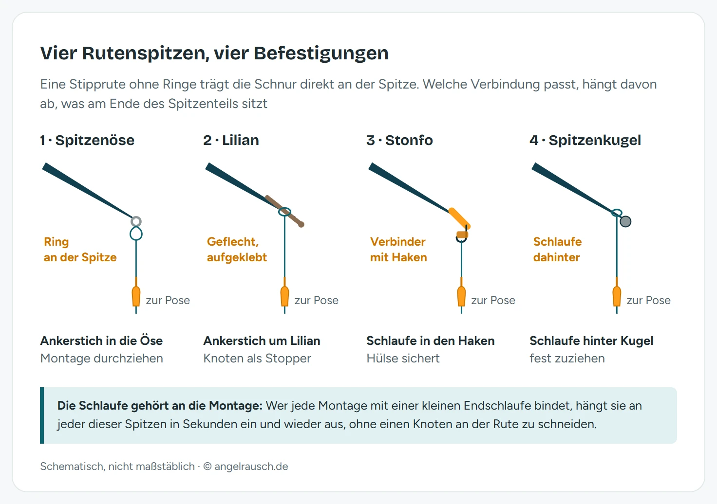 Vier Schemazeichnungen einer Rutenspitze mit der Schnurbefestigung: kleine Spitzenöse mit Schlaufe als Ankerstich, aufgeklebte Lilian mit Knoten am Ende und Schlaufe darum, Stonfo-Verbinder mit Haken und Hülse, Spitzenkugel mit fest zugezogener Schlaufe dahinter.