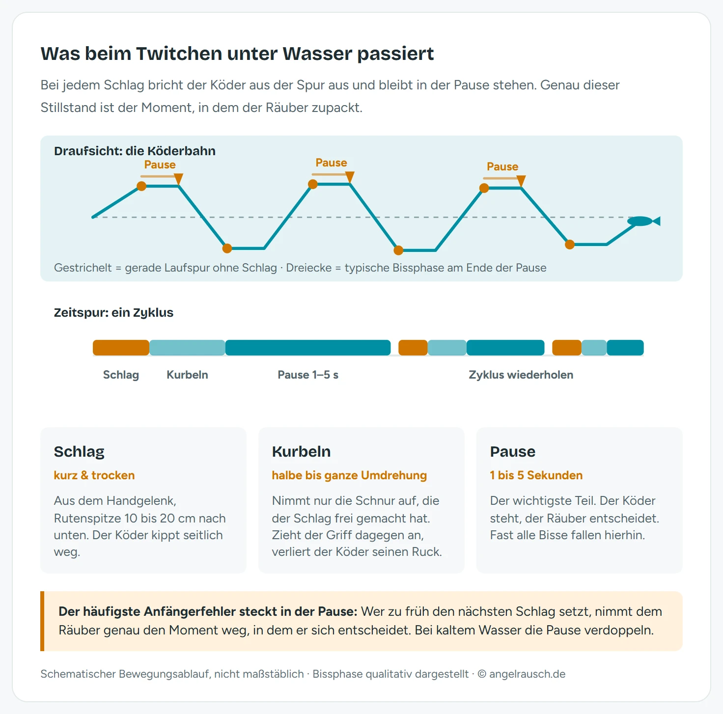 Zweiteilige Darstellung der Twitch-Technik: oben die Draufsicht auf die Köderbahn, bei der der Minnow bei jedem Rutenschlag abwechselnd nach links und rechts aus der geraden Laufspur ausbricht und in der Pause stehen bleibt, mit Bisspunkten am Ende jeder Pause; unten die Zeitspur mit kurzem Schlag, halber bis ganzer Kurbelumdrehung und einer Pause von einer bis fünf Sekunden