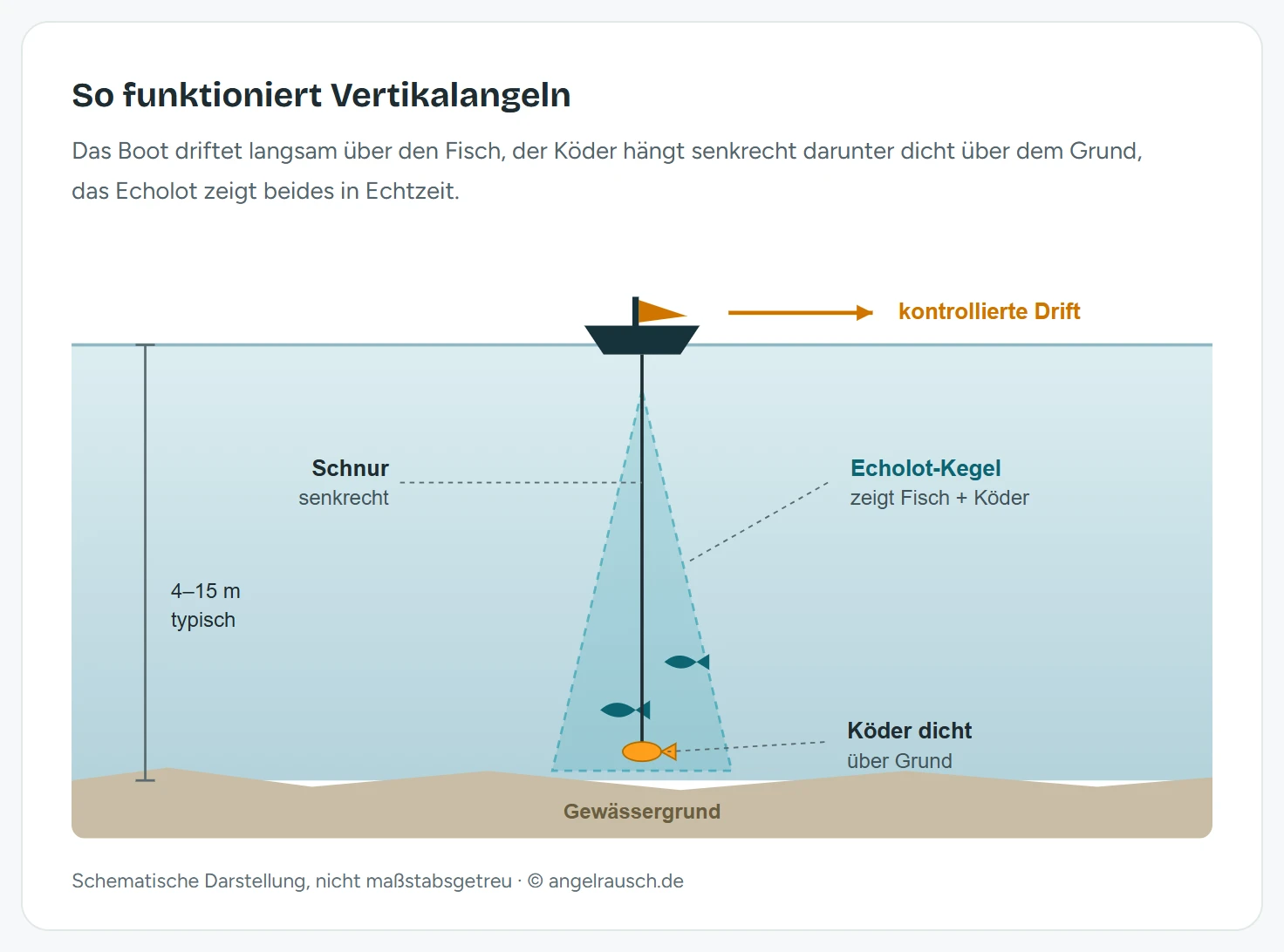 Schema des Vertikalangelns: Ein Boot driftet an der Oberfläche nach rechts, die Schnur läuft senkrecht nach unten zu einem Köder dicht über dem Grund, ein Echolotkegel erfasst zwei Fische unter dem Boot, die typische Tiefe liegt bei 4 bis 15 Metern