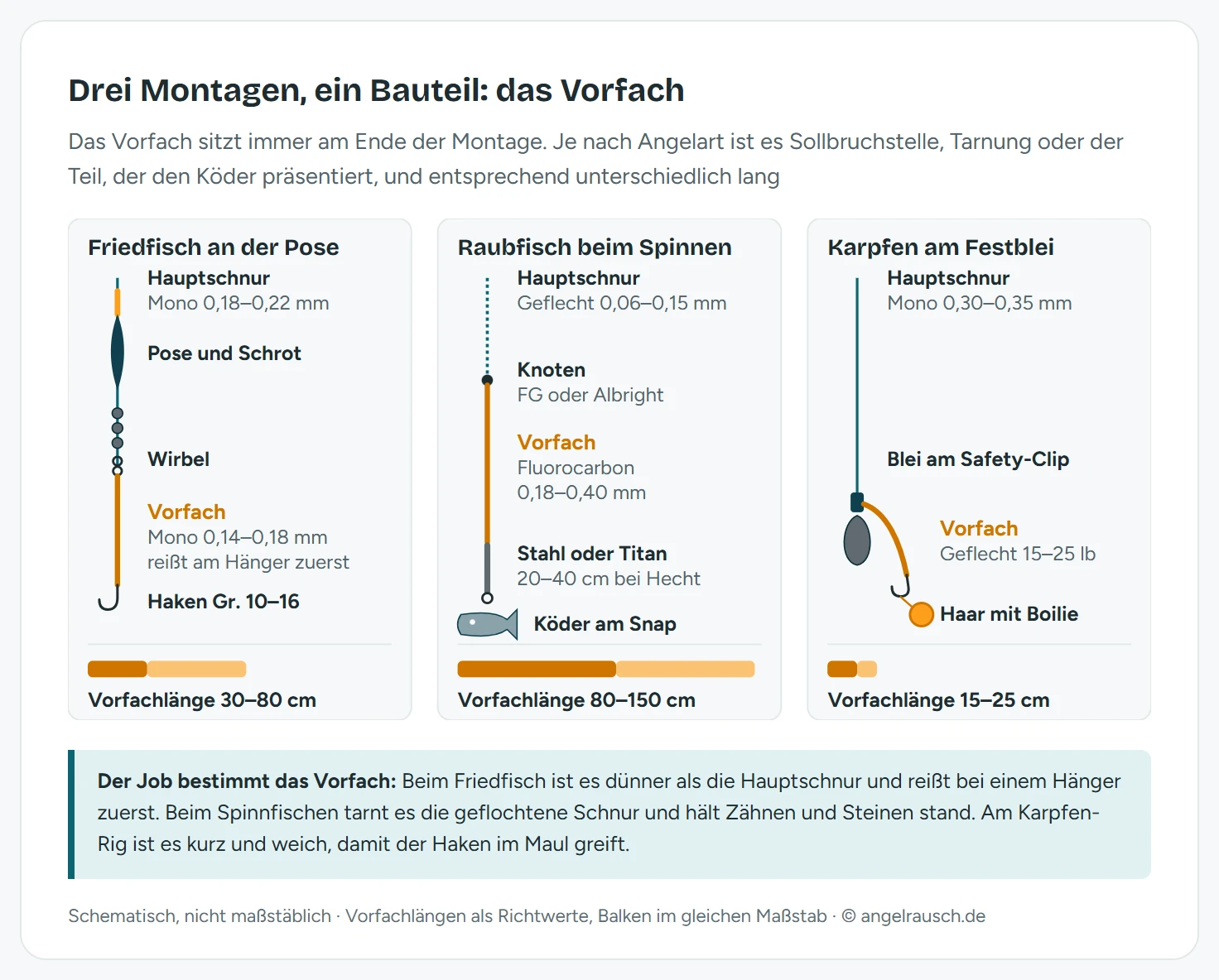 Drei schematische Montagen nebeneinander mit orange hervorgehobenem Vorfach: Posenmontage auf Friedfisch mit monofilem Vorfach von 0,14 bis 0,18 mm als Sollbruchstelle, Spinnmontage auf Raubfisch mit geflochtener Hauptschnur, Fluorocarbon-Vorfach von 0,18 bis 0,40 mm und bissfester Spitze aus Stahl oder Titan, Festbleimontage auf Karpfen mit kurzem Geflechtvorfach von 15 bis 25 lb. Darunter Längenbalken im gleichen Maßstab: 30 bis 80 cm, 80 bis 150 cm und 15 bis 25 cm.