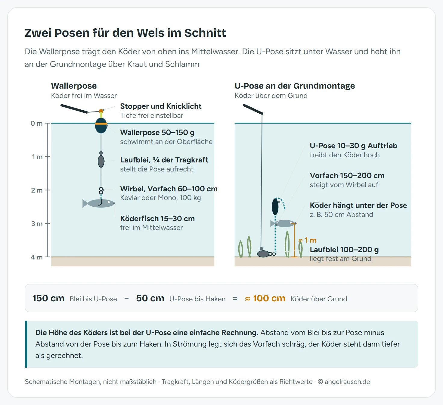Zwei schematische Querschnitte nebeneinander: links eine Wallerpose mit 50 bis 150 Gramm an der Oberfläche, darunter Laufblei, Wirbel, 60 bis 100 Zentimeter Vorfach und ein Köderfisch von 15 bis 30 Zentimetern im Mittelwasser; rechts eine Grundmontage mit 100 bis 200 Gramm Laufblei am Grund, 150 bis 200 Zentimeter Vorfach und einer U-Pose mit 10 bis 30 Gramm Auftrieb, unter der der Köder etwa einen Meter über einem Krautfeld steht, dazu die Rechnung 150 minus 50 Zentimeter gleich rund 100 Zentimeter über Grund