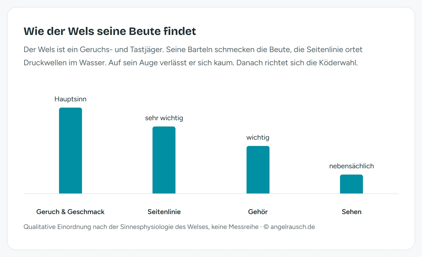 Balkendiagramm der Sinnesgewichtung beim Wels: Geruch und Geschmack sind der Hauptsinn (höchster Balken), die Seitenlinie sehr wichtig, das Gehör wichtig, das Sehen nur nebensächlich (niedrigster Balken)