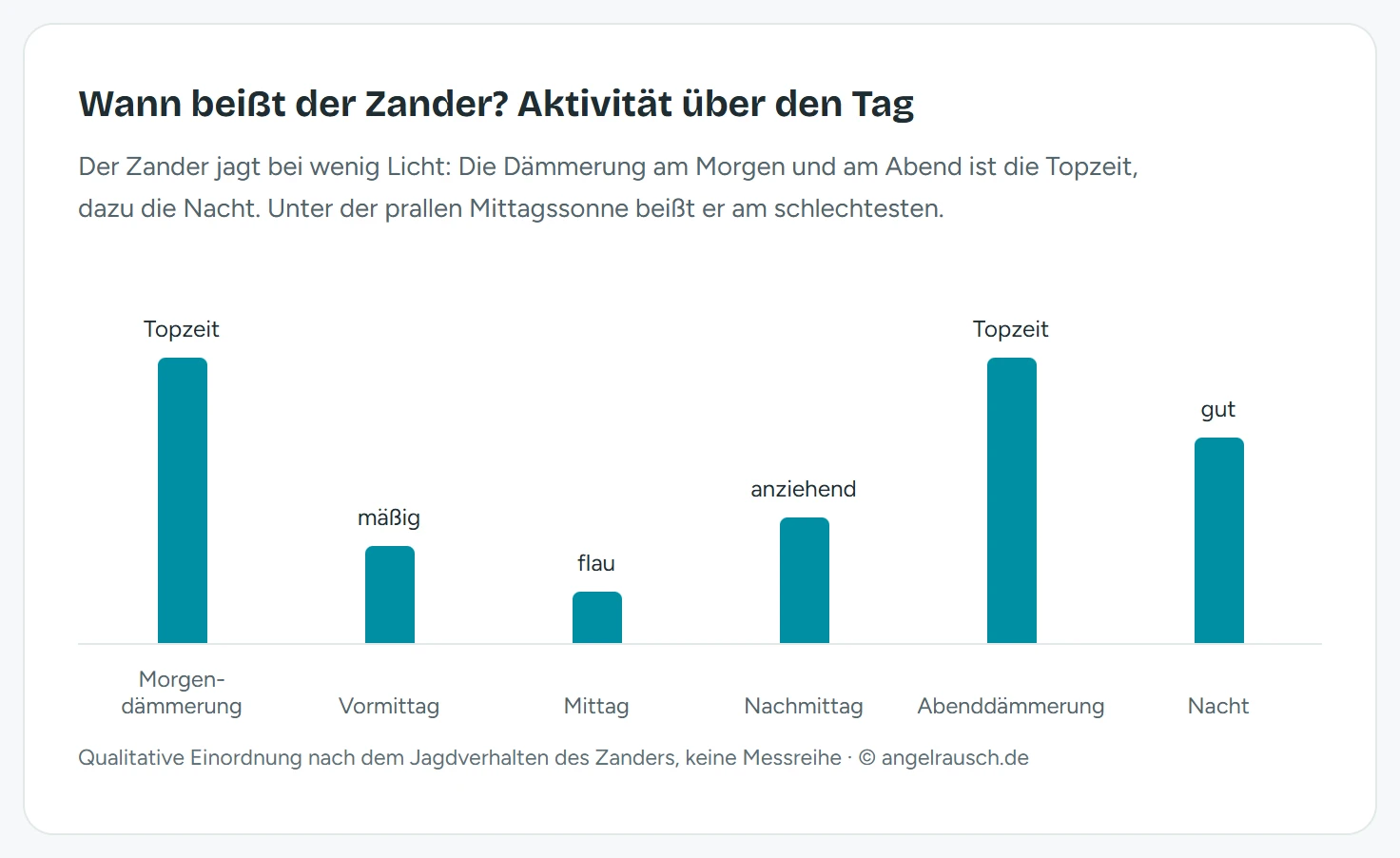 Balkendiagramm der Zander-Aktivität über den Tag: Morgendämmerung und Abenddämmerung sind Topzeit (höchste Balken), die Nacht ist gut, Vormittag und Nachmittag mäßig, der Mittag ist mit dem niedrigsten Balken die schwächste Beißzeit