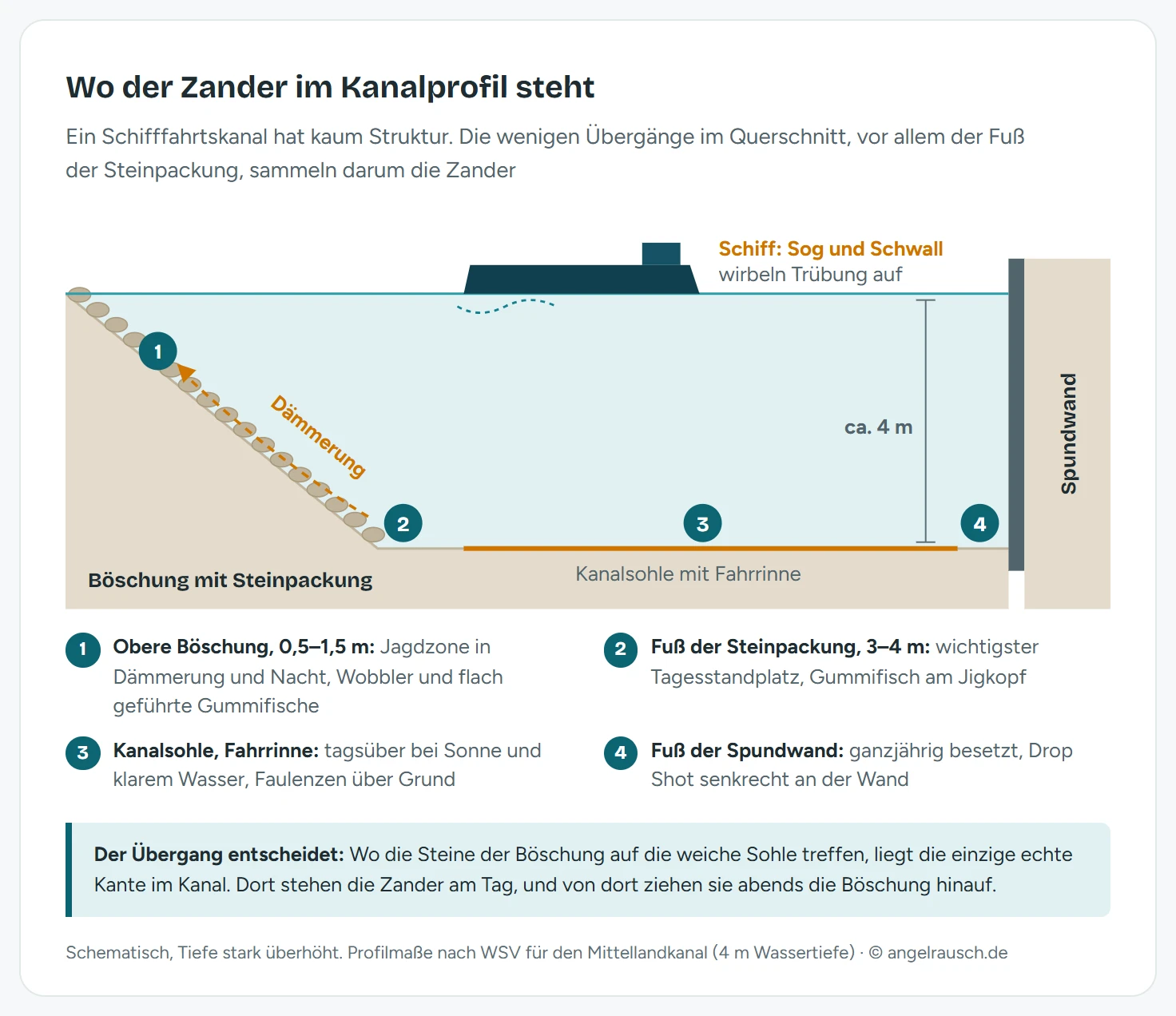 Querschnitt durch einen Schifffahrtskanal mit Steinpackungsböschung links und Spundwand rechts, rund 4 Meter tief. Nummerierte Marker zeigen die vier Zander-Zonen: obere Böschung in 0,5 bis 1,5 Meter Tiefe für Dämmerung und Nacht, Fuß der Steinpackung in 3 bis 4 Meter als Tagesstandplatz, Kanalsohle mit Fahrrinne und Fuß der Spundwand.